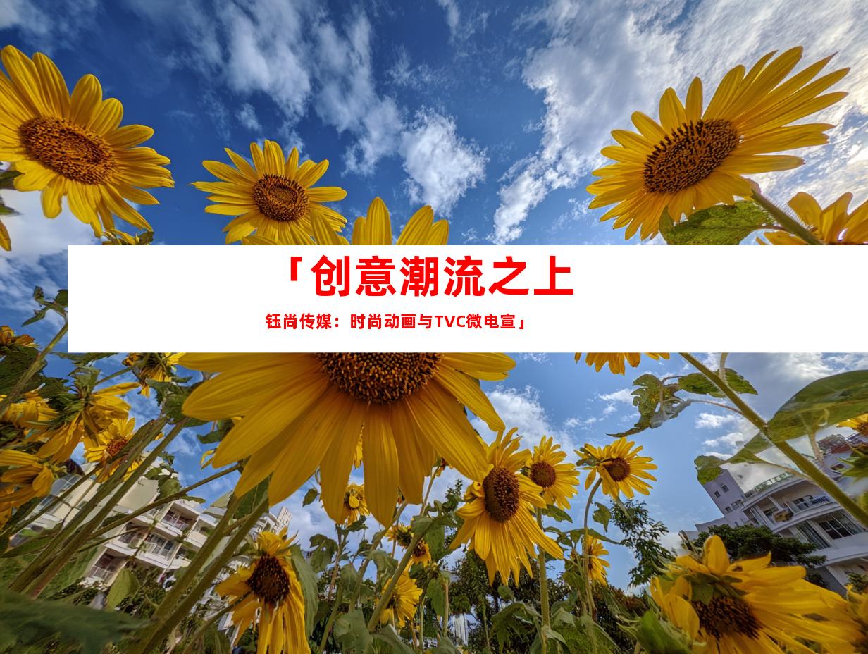 苏州「创意潮流之上 钰尚传媒：时尚动画与TVC微电宣」